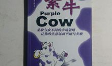 紫牛读后感