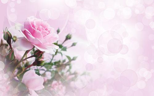 幸福不会错过任何人，迟早它将找到你