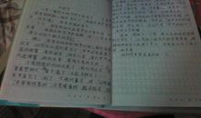 写人的作文500字