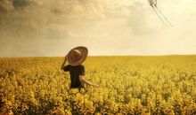 青春没有自以为是的坚强