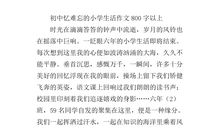 难忘的小学生活作文400字