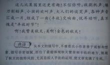 秋天的夜晚作文