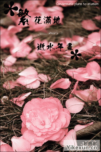 张华霞经典语录