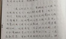 难忘的小学生活作文