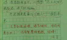 写人的作文100字