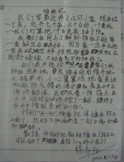 雨的随想曲600字