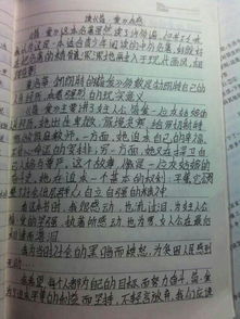 看完小学三年级后