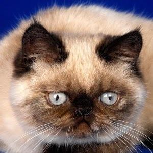 最有价值的东西不是眼睛能看到的