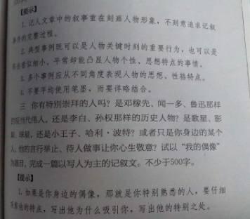 我的偶像作文450字
