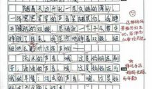 我爱我家初中作文