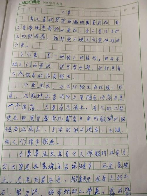 给远方儿童的书信