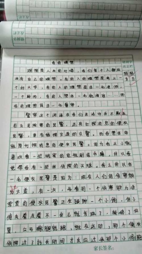 我理想的作文士兵