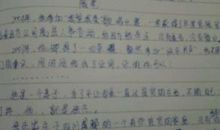 我的偶像作文700字