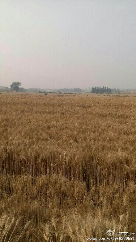 工作簿：适合即将上大学的孩子