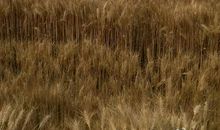 作业本：写给即将走进大学的童鞋们