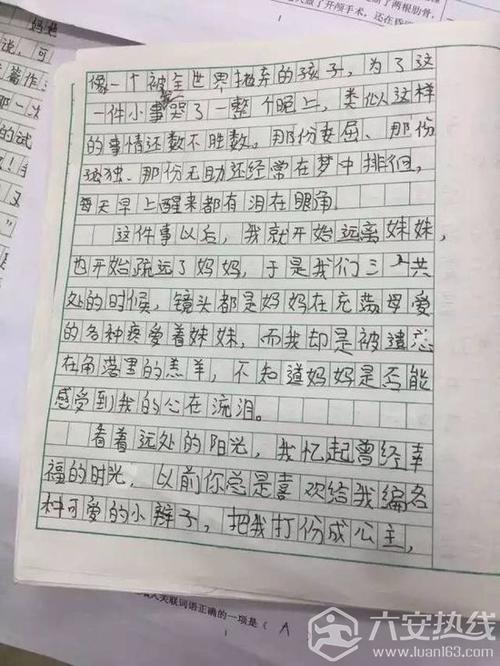 我和我妹妹的论文