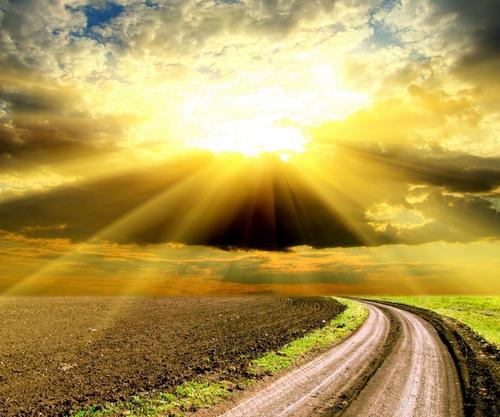 错过的景观组成