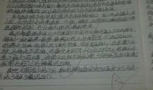 狮王读后感500字