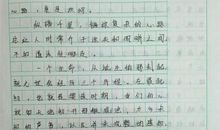 我最喜欢的电视剧作文