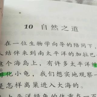 解锁的心组成