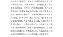 我的发现四年级作文