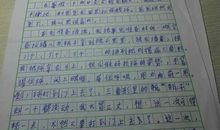 初中暑假日记400字