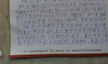 给远方的小学生的写一封信300字
