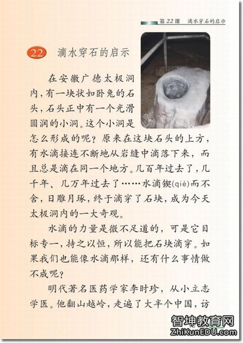 杨秀芝死后500字