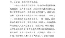 元旦快乐作文100字