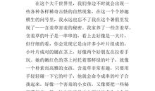我心中的秘密作文400字