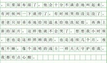 雨的自述作文300字