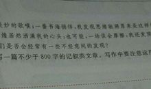 我的发现作文800字