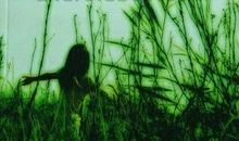 梦里花落知多读后感