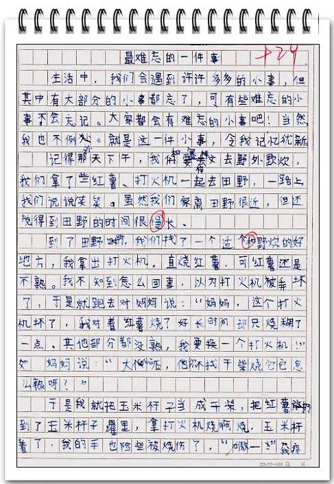 最难忘的事200字