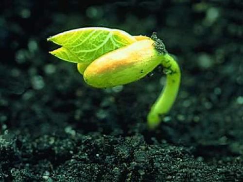 阅读后，蒙田涅（Montaigne）热爱生活