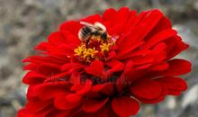 开一朵独属自己的花