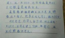 中秋节日记300字