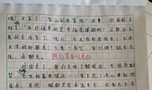 关于勇气的作文素材