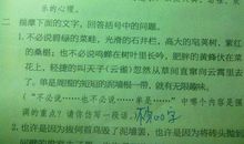 身边的小能人作文