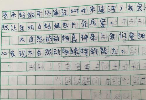 探索生活中的美丽组成