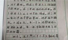 我的发现100字