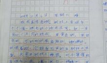 雪中情小学生作文