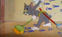 看猫和老鼠读后感