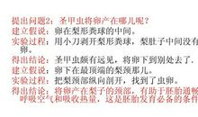 剥开教育的责任读后感