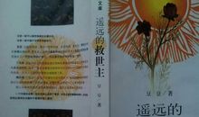 遥远的救世主读后感