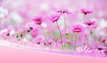 作文我和春天有个约会