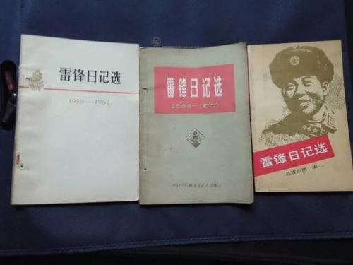 看雷锋日记后400字