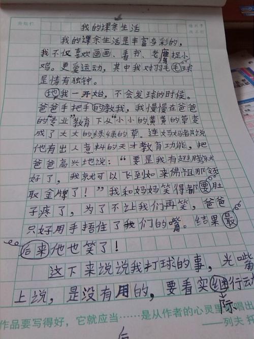 我课外生活的500个字