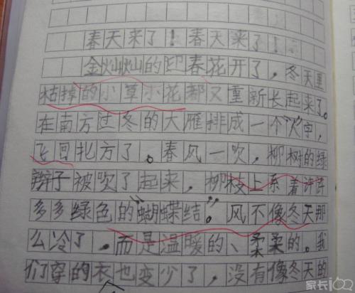 二年级春季作文