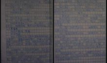 难忘那张沧桑的脸作文